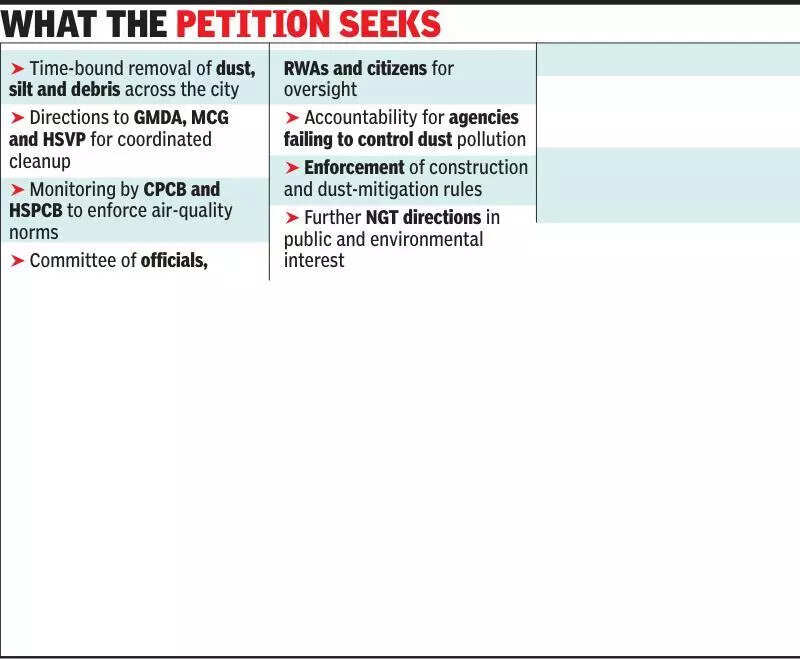 Plea in NGT seeks cleanup of dustbowls, monitoring panel in Gurgaon
