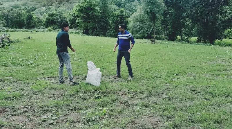 Three govt staffers planting hope in barren terrains