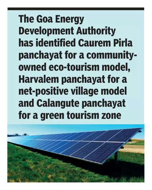 Goa govt to focus on energy efficiency for sustainable development in 3 villages