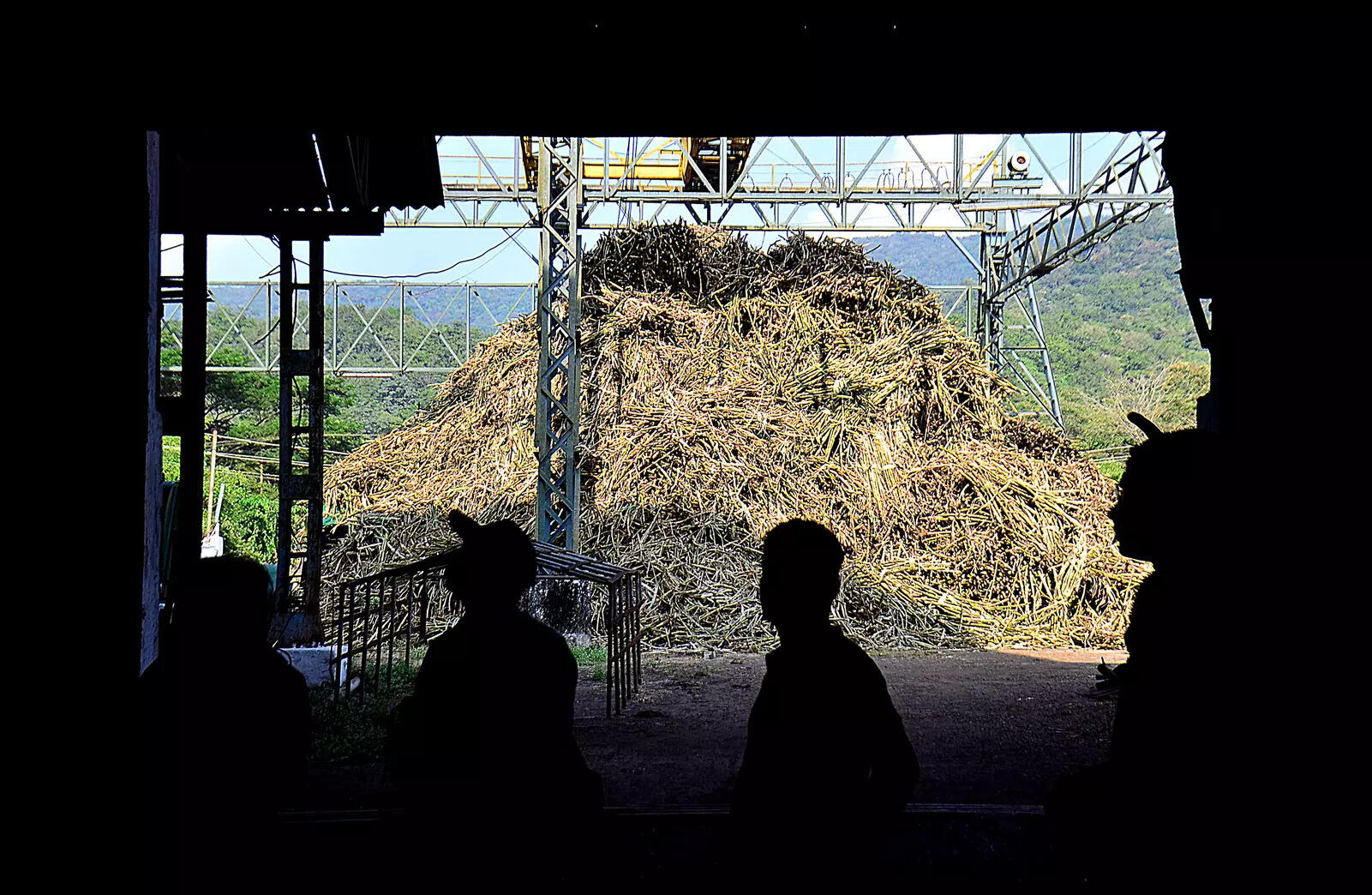 Bidders show fresh interest in Rs 700cr sugar factory, convention centre projects