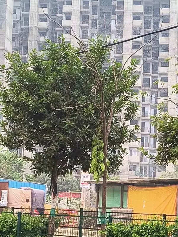 Gurgaon highrises advised to install smog guns to cut dust pollution