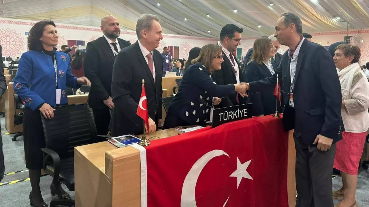 Türkiye secures UNESCO status for Antep İşi Embroidery