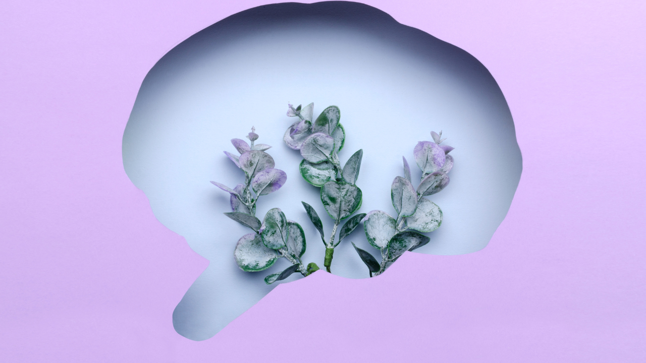 Image: Canva
