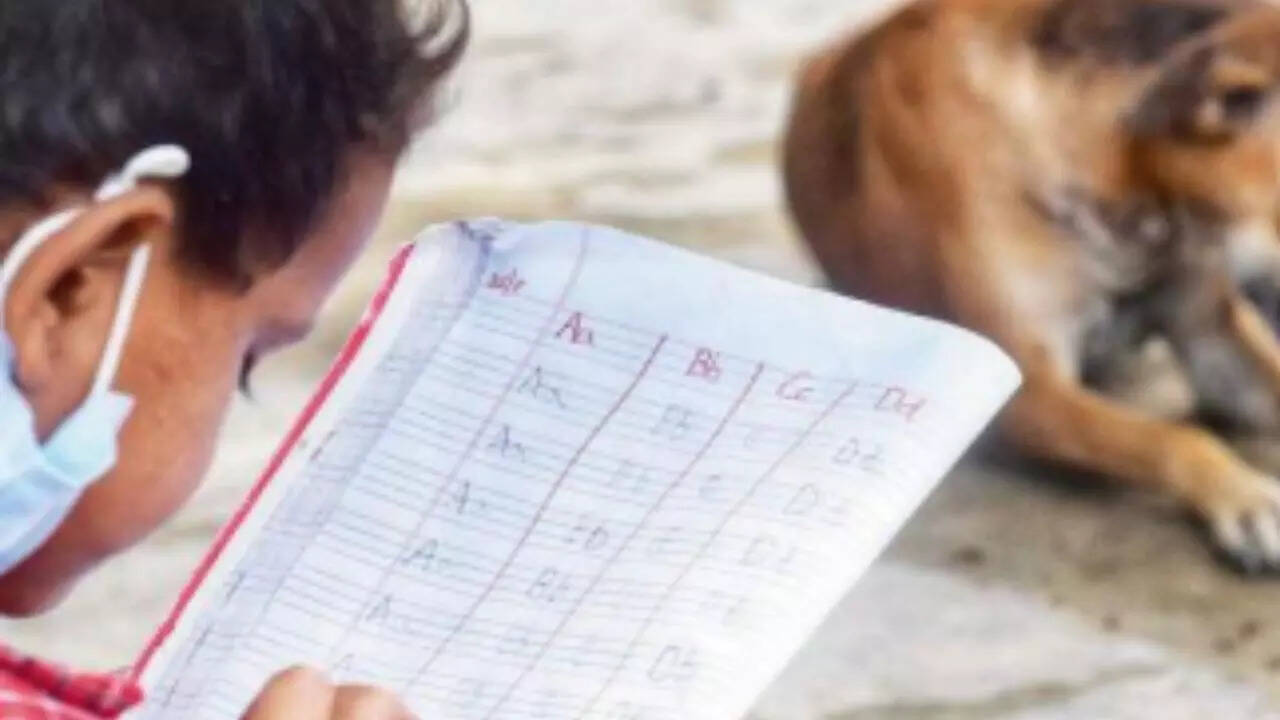 'Being told to do guard's job': Order on nodal officers for strays irks teachers