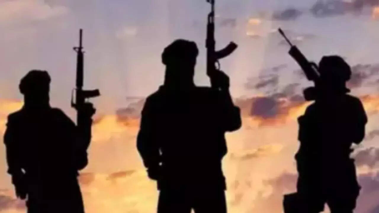 J&amp;K: Police attach property of Pak-based handler in Poonch; UAPA invoked