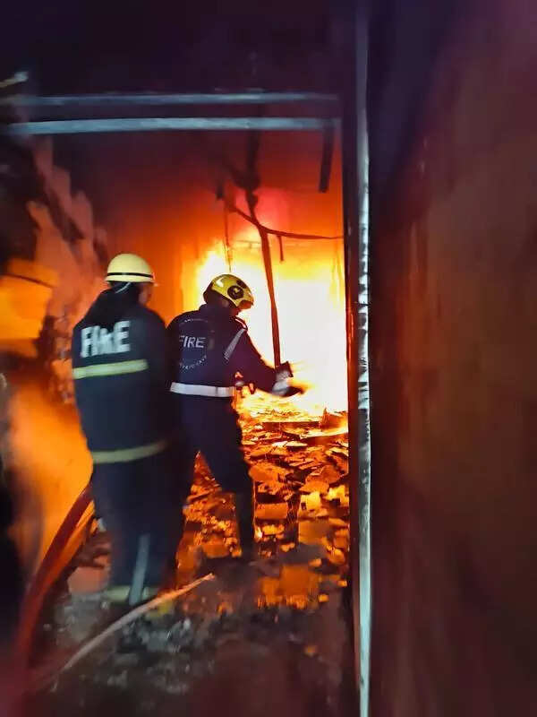 Telangana fire services proposes amending fire services act to cover buildings below 15 metres in height