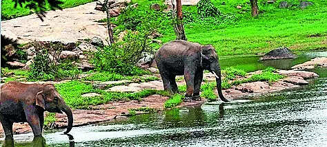 Aravalli-like row in Bengaluru: SC panel to visit on Friday