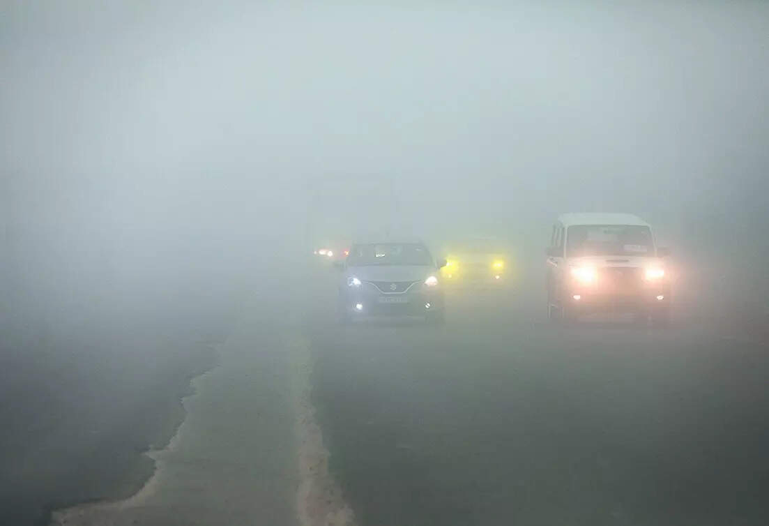 Expect dense fog in mornings, chilly nights till January 5: IMD