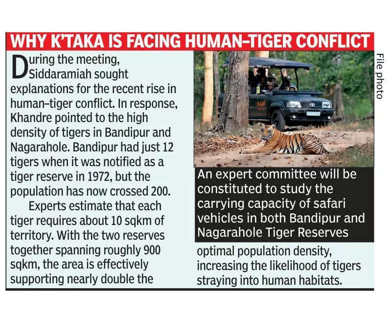 Post 2 months of ban, tiger safari may reopen in phases in Bandipur, Nagarahole
