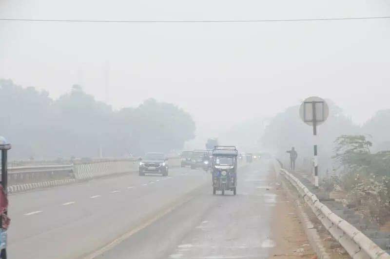 msid 126312386,imgsize 11660 https://jaipur.visitinrajasthan.com/wp-content/uploads/2023/10/cropped-cropped-R-2.png