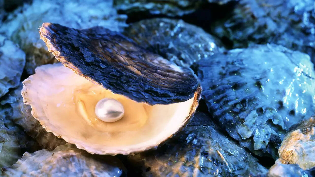 How oysters turn a tiny irritant into a pearl: What really goes on inside the shell