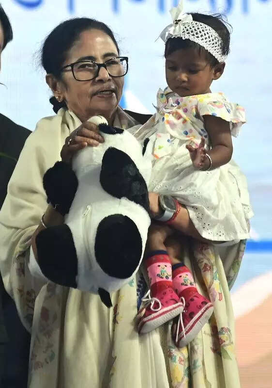 Will take SIR torment to SC, plead personally if needed, says CM