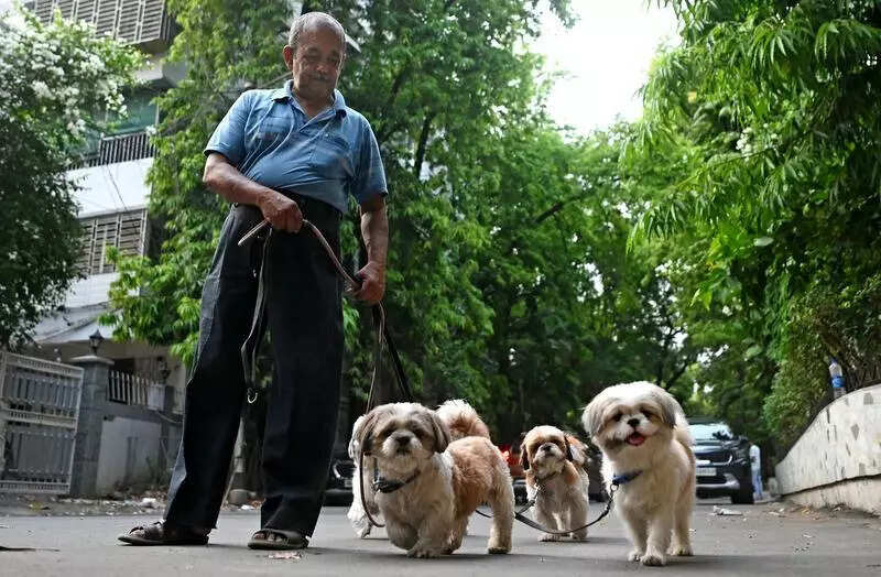 GCC collects 3.78L in fines from pet owners in two weeks