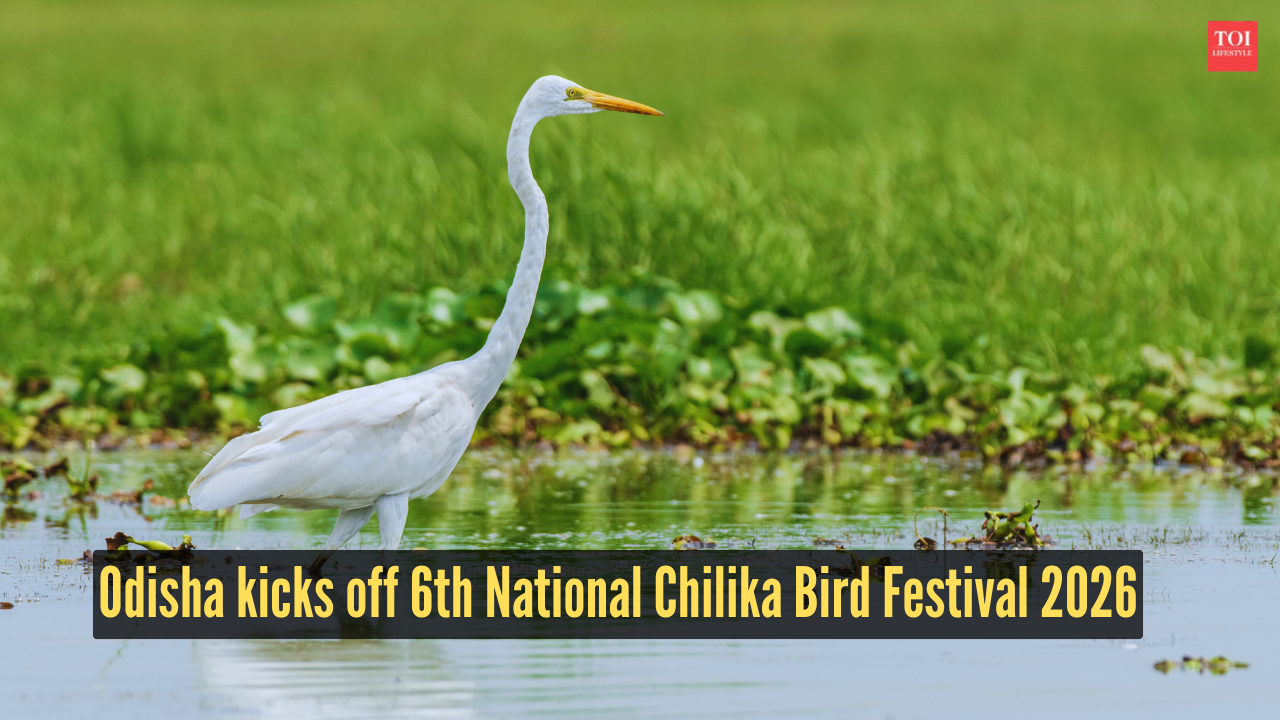Odisha kicks off 6th National Chilika Bird Festival 2026, spotlight on conservation-led tourism