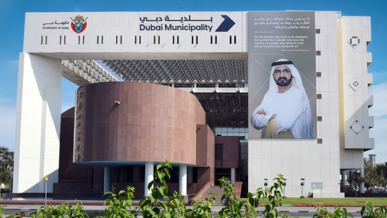 Dubai to plant 20,000 trees across the city to mark 20 years of Sheikh Mohammed’s leadership