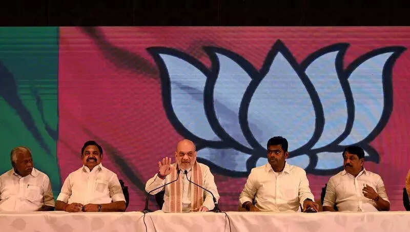 No place for OPS, Sasikala, says EPS after meeting Shah