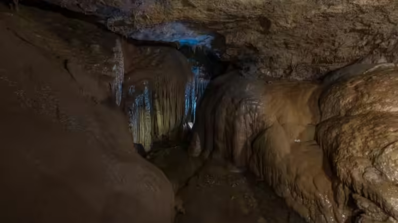 Moroccan cave fossils yield a possible missing link in human evolution