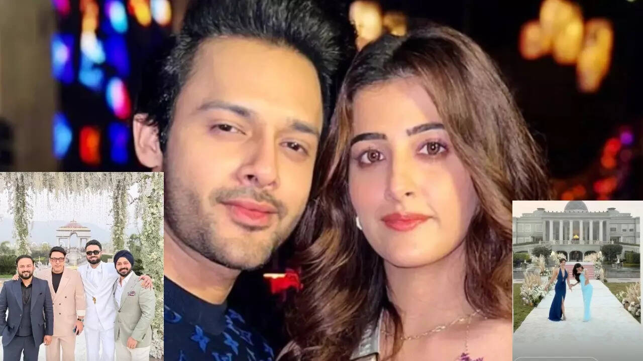 Kriti's rumoured bf Kabir, Mouni, Disha drop PICS from Nupur-Stebin wedding