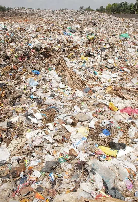 Bulk waste rules on paper, illegal collection on the ground in Bengaluru