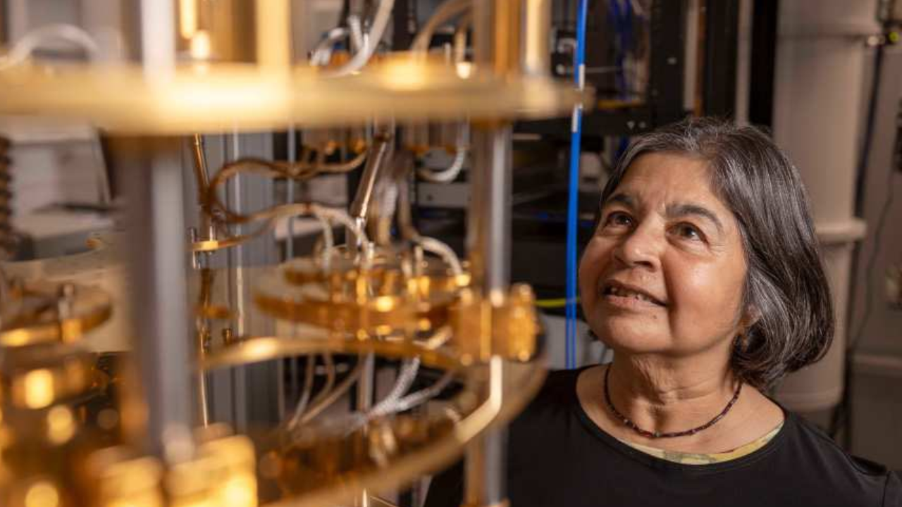 Meet Nalini Joshi: Mathematician who predicts humans will have 'quantum money' in 20 years