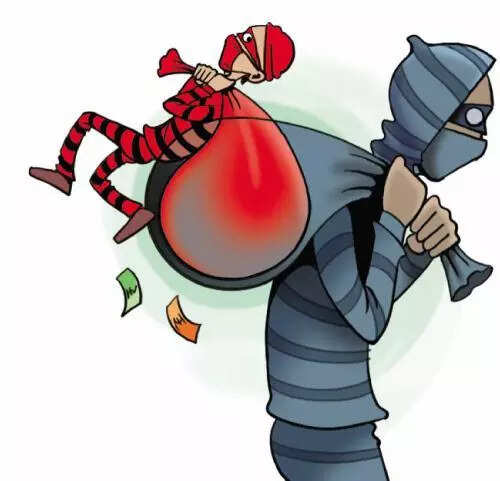 Alert girl foils robbery attempt at her Parra home