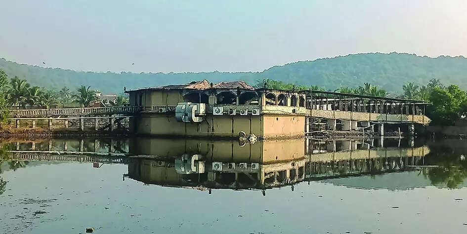 Must dismantle ecosystem that allowed Birch to function: HC