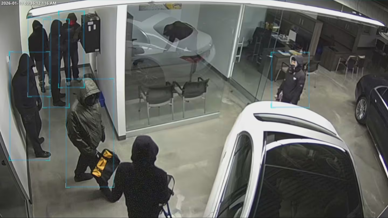 'Shocking, surreal': Ferrari, Porsche, BMW of $2 million stolen on camera from Ontario showroom; 'Who gets up at 3 am to...'
