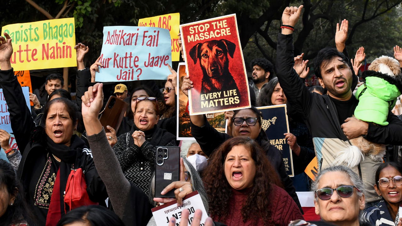 Take them to your house: SC questions those feeding stray dogs; compensation warning for states