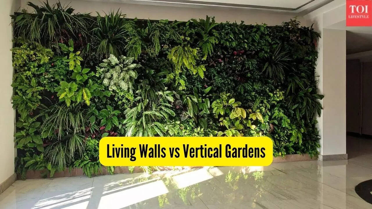 Living Walls vs Vertical Gardens: What’s the real difference, which is the best and why?