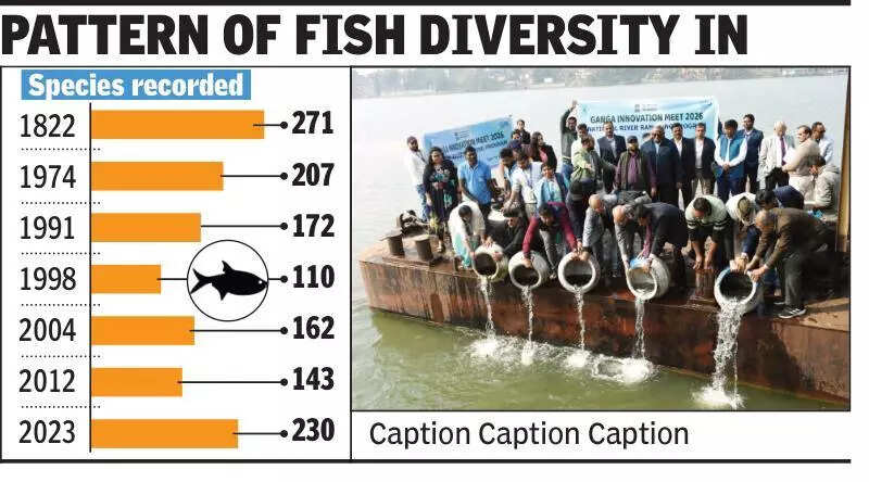 CIFRI records 230 fish speciesin Ganga, highest in 50 years