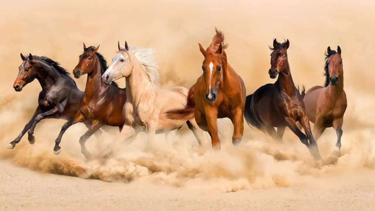 These paintings on your drawing room walls can change your life