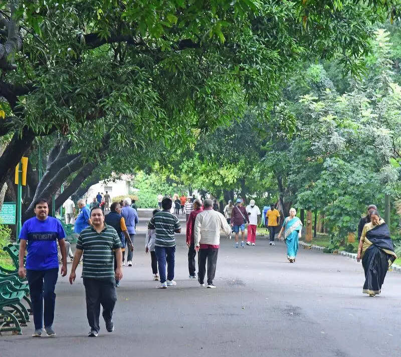 Mobility challenge: GBA’s Hejje-Gala to promote walking, cycling for short commute