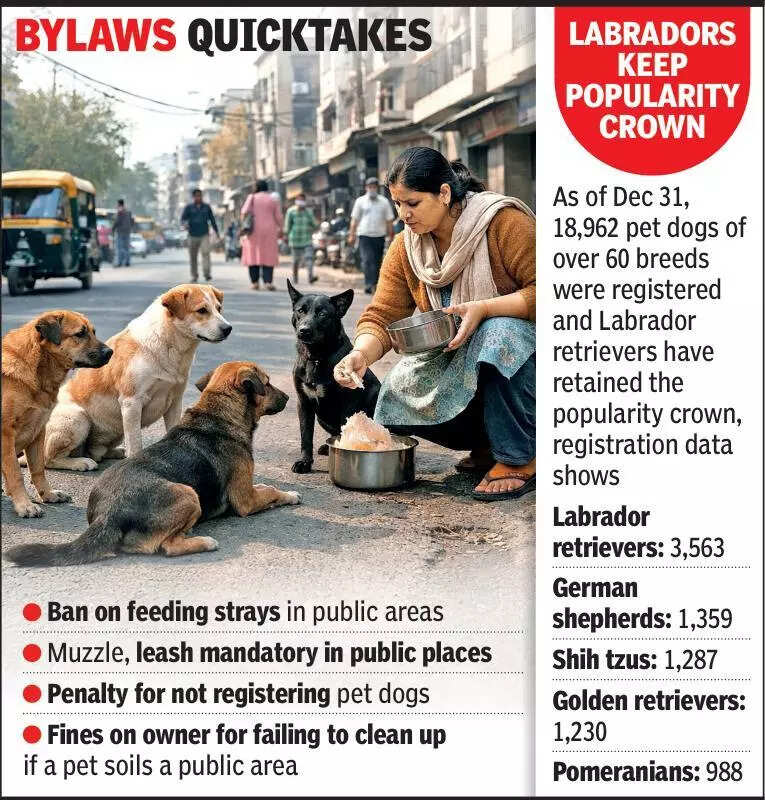 Pet rules get teeth, to be drafted as bylaws