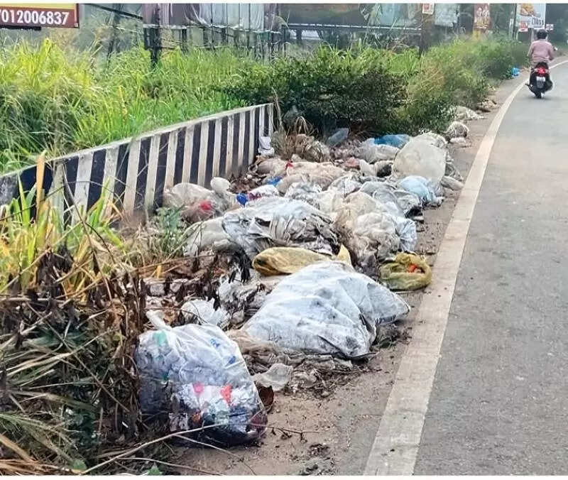 Garbage dumping along roads sparks health fears in border panchayats in Thiruvananthapuram