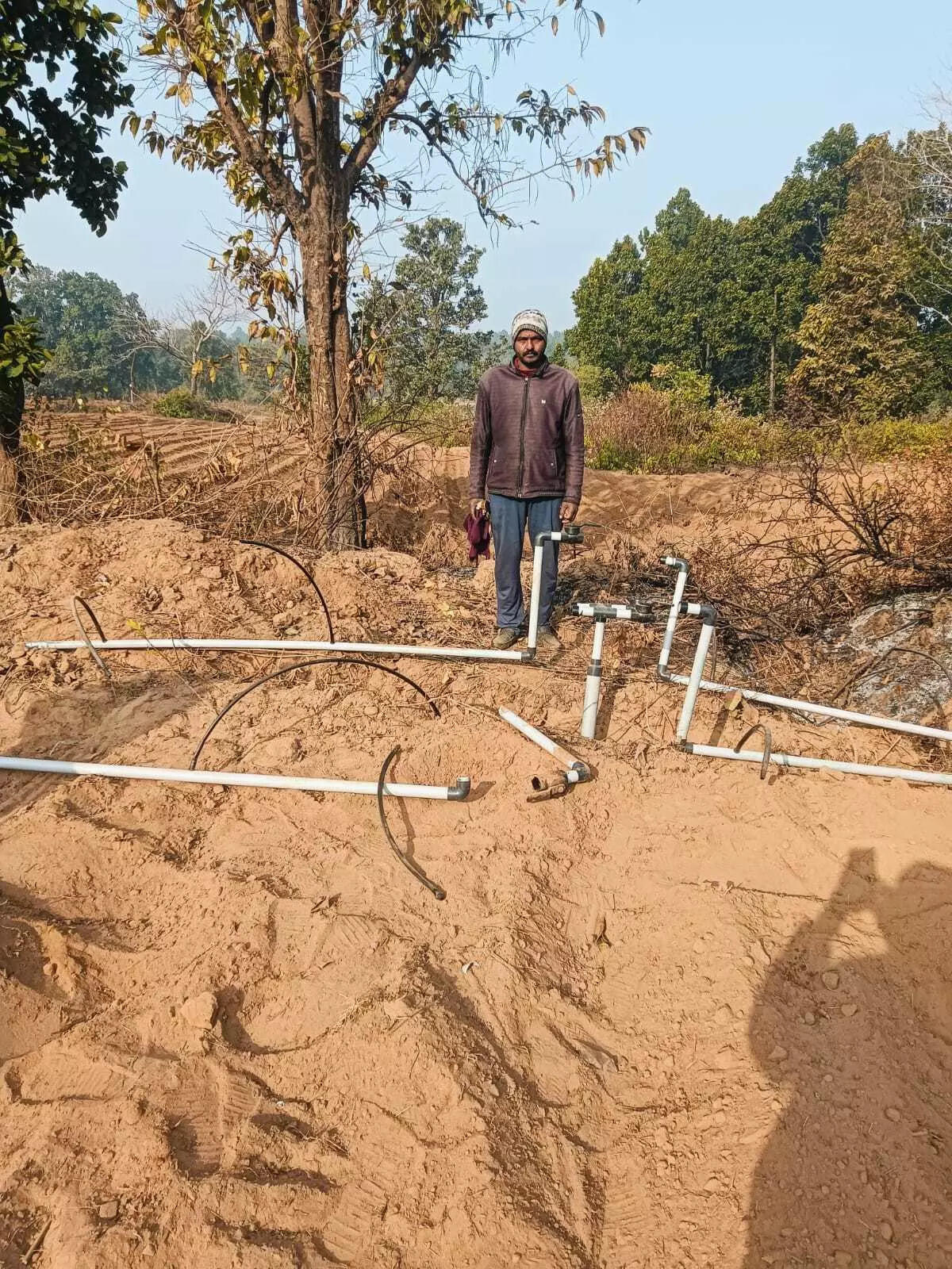 Hazaribag Elephant Rampage: Crops Damaged, Villagers Fearful as Lone Jumbo Returns