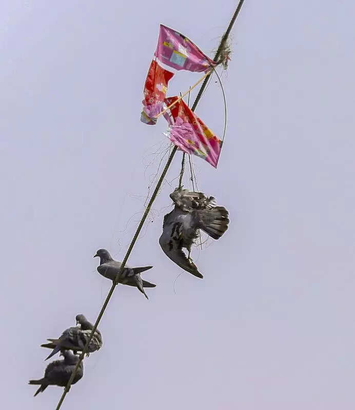 Cop, 3 others hurt in Chinese manja incidents across T’gana