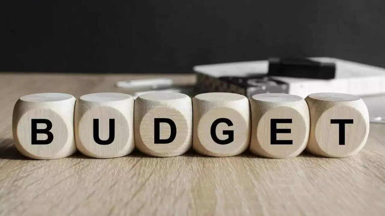 Budget 2026 outlook: ICRA flags focus on debt consolidation; capex push to continue