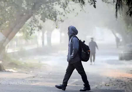 UP school timings revised in Gautam Buddh Nagar due to dense fog; check official notice here