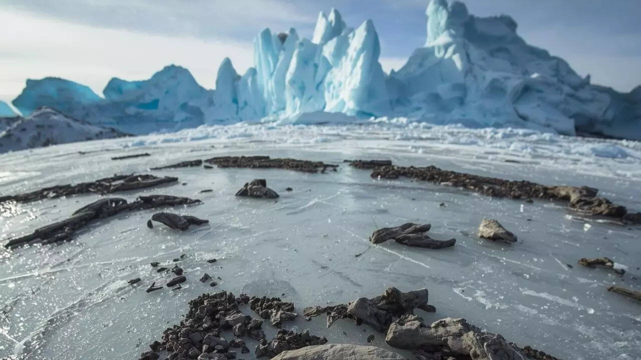 The Art of Baking: From Classic Bread to Artisan Pastries