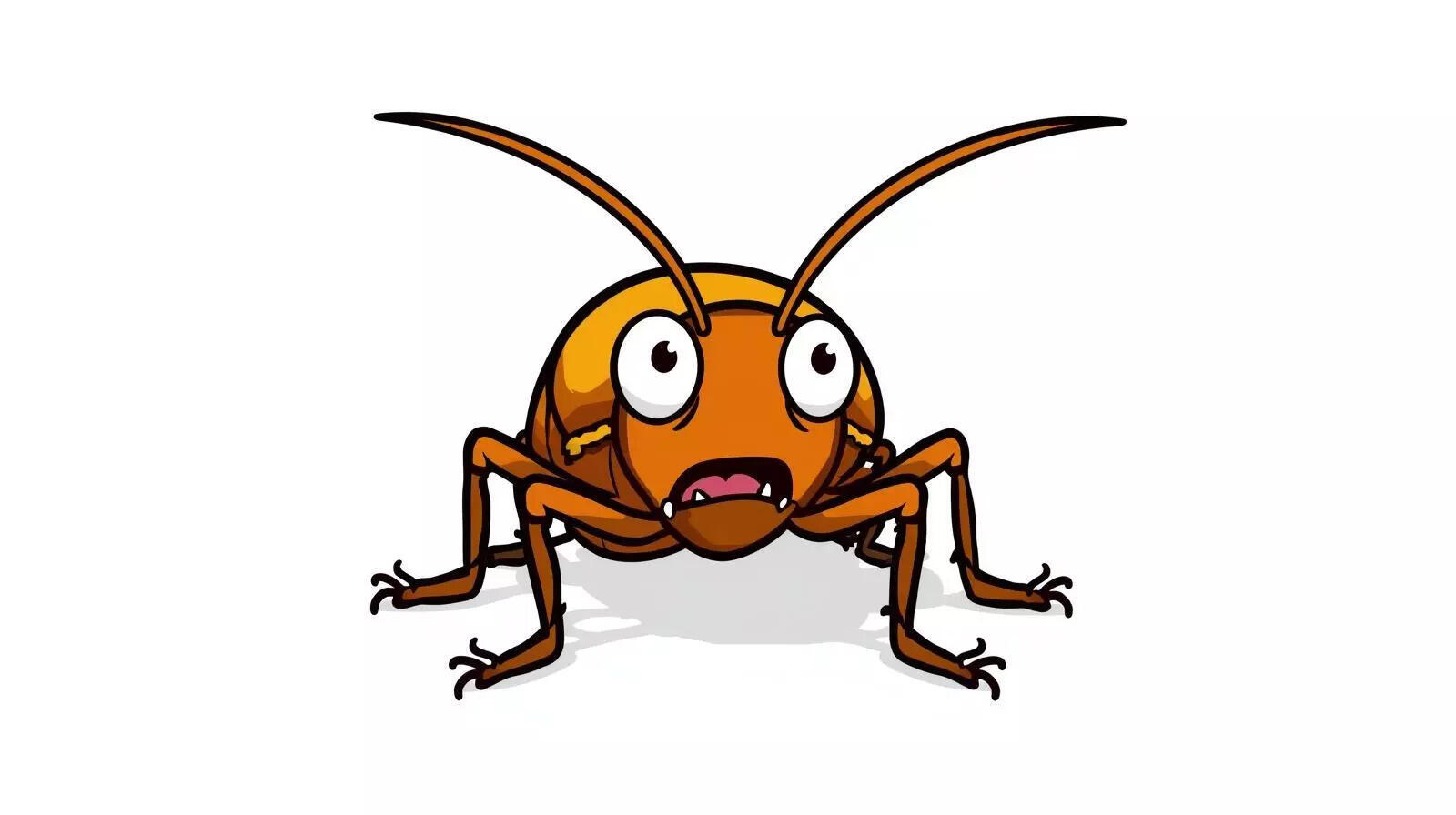 Cockroaches become more cautious and change their behaviour after stress, scientists discover