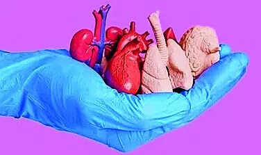 Nearly 5k patients waiting for organs in Telangana