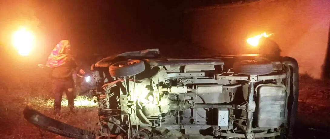 Vegetable Seller Trampled to Death by Elephants in Bokaro