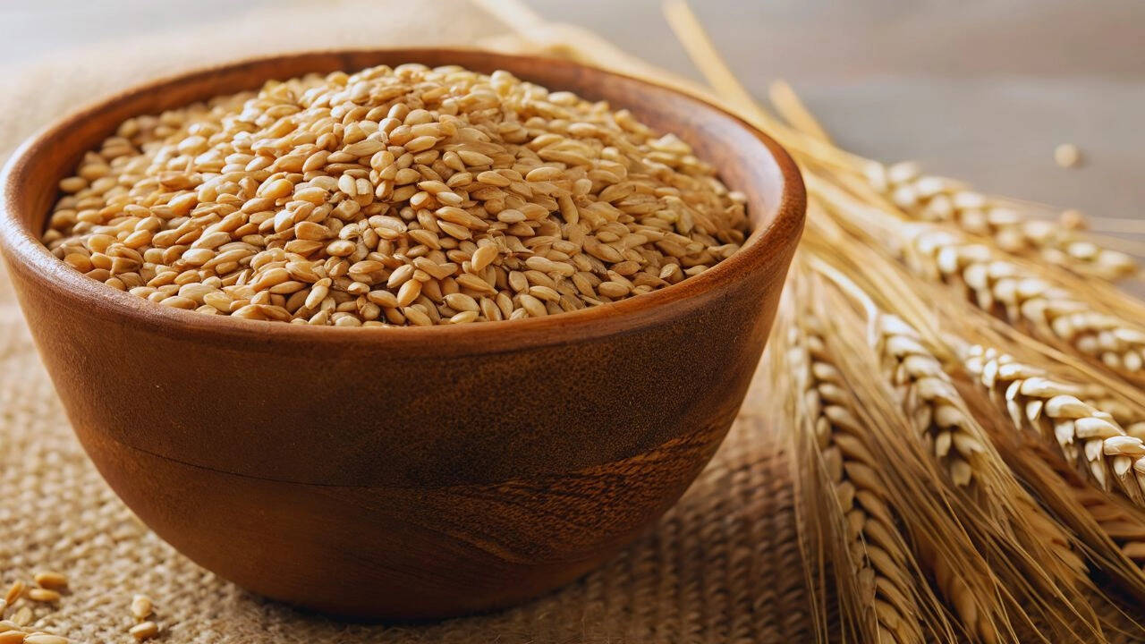 Khapli Wheat