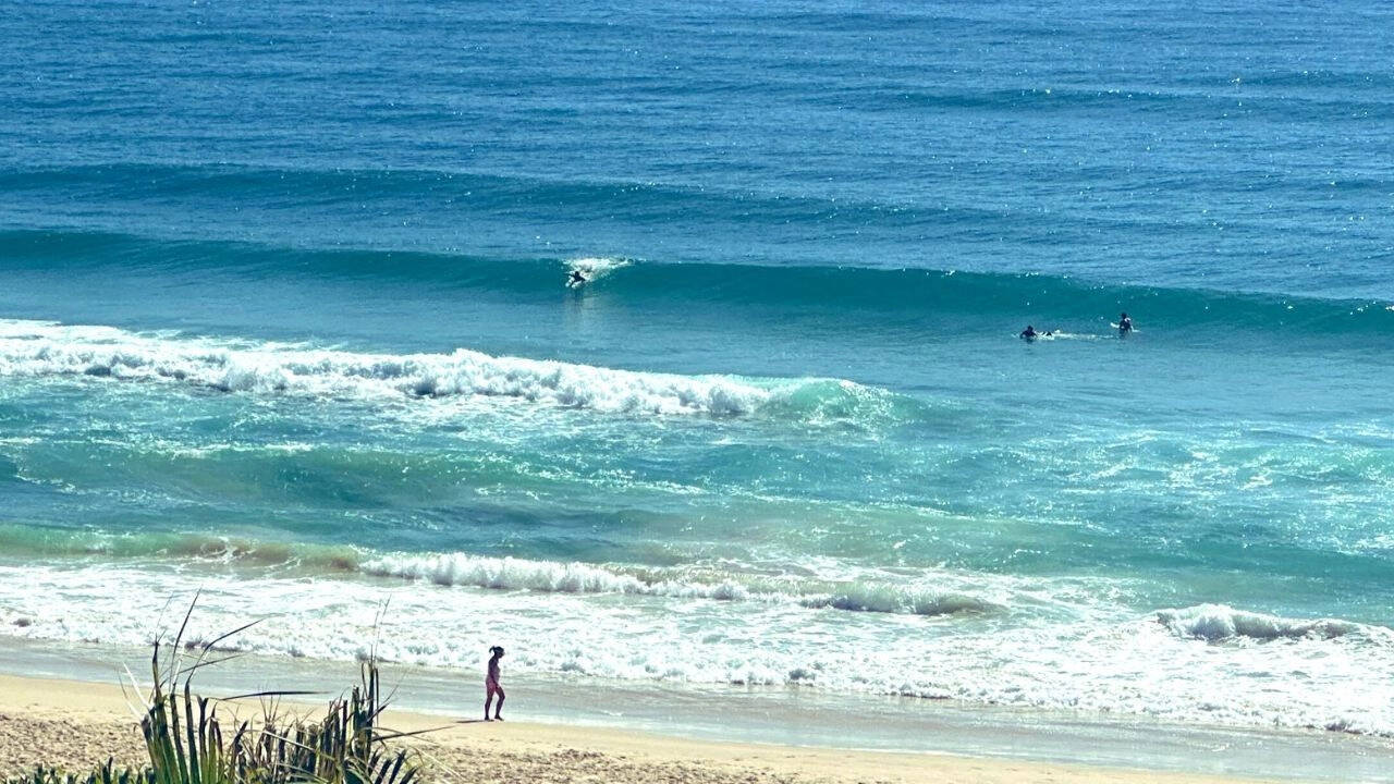 Canadian woman found dead after swim on K'gari beach; dingo link not confirmed