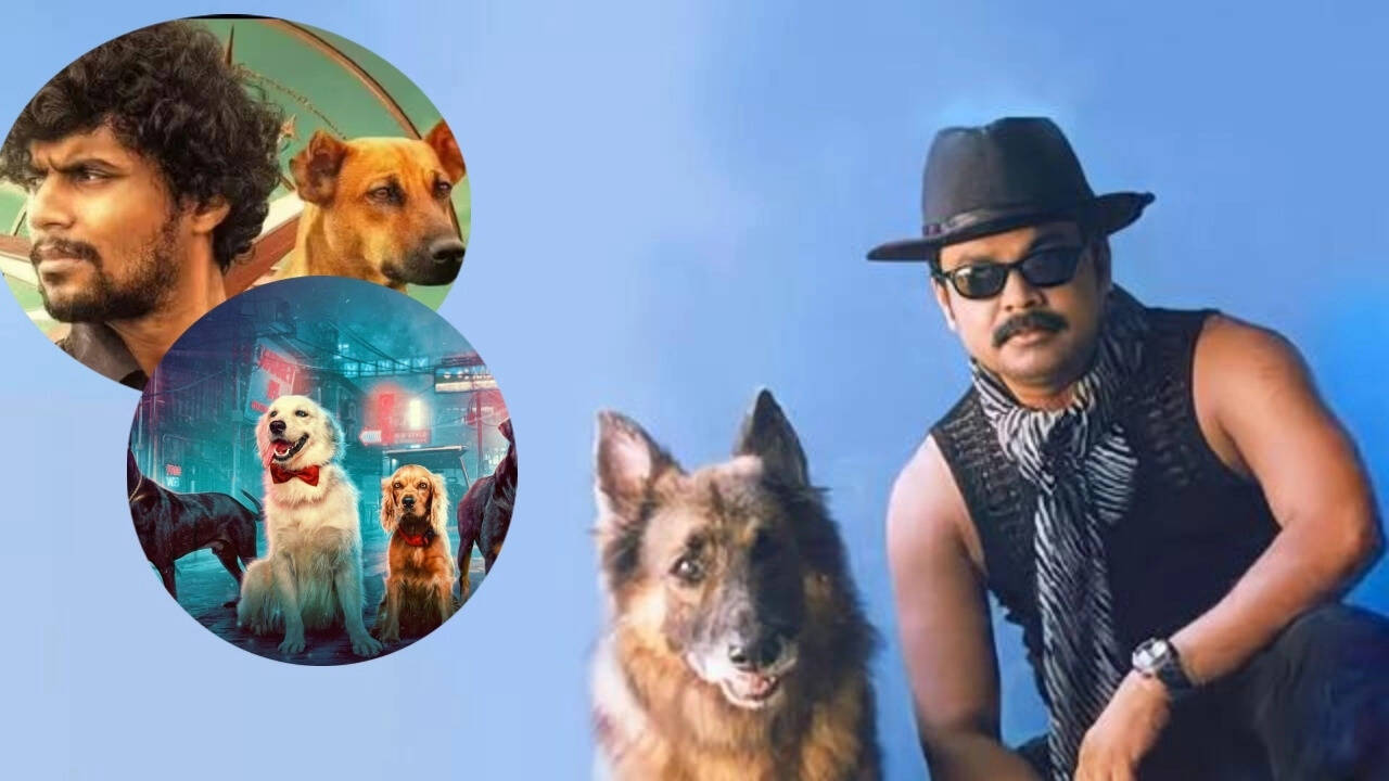 When animals take over the screen: From 'CID Moosa' to 'Eko'