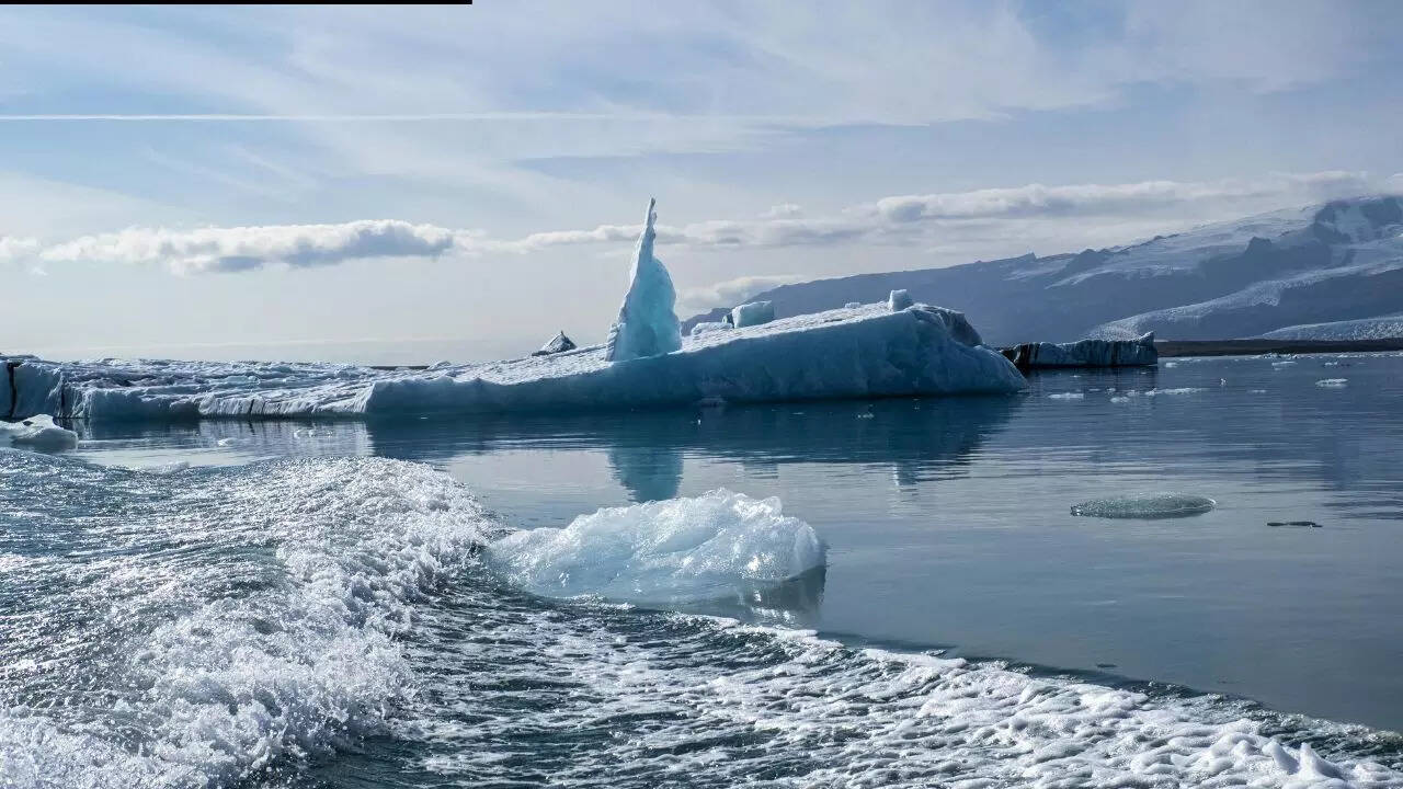 Life under the Arctic ice is moving in ways no one expected