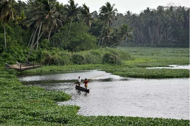 Akkulam Lake rejuvenation works set to restart