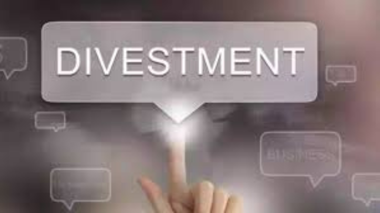 Government gets proposals to push divestment amid weak show