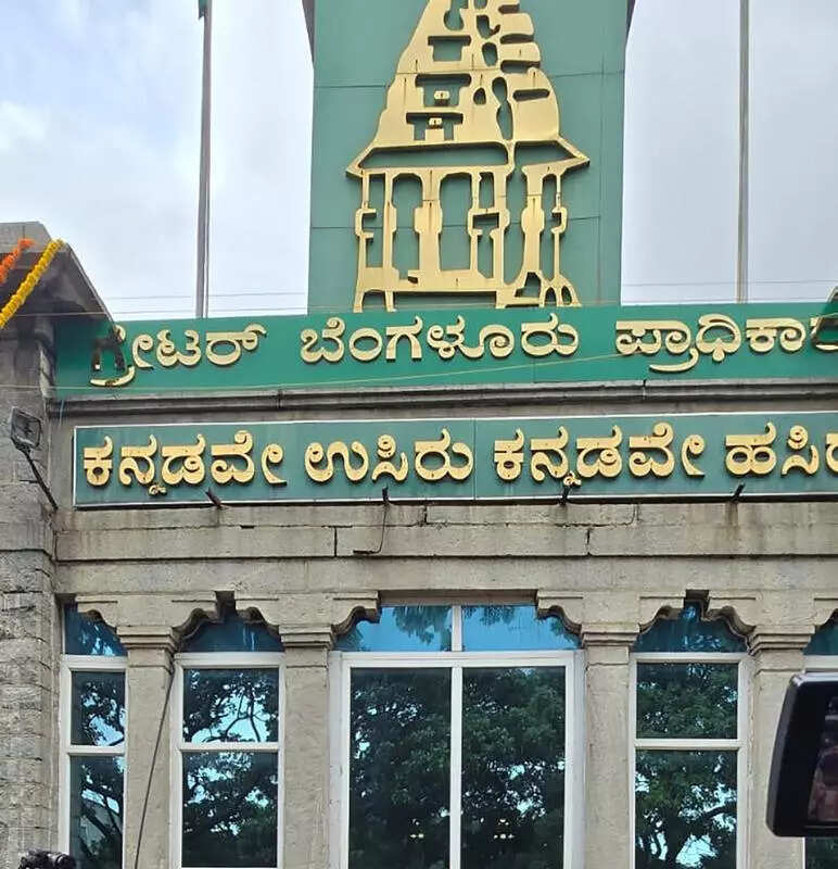 Greater Bengaluru Authority oversight panel set up but move casts doubts on new corpns’ autonomy