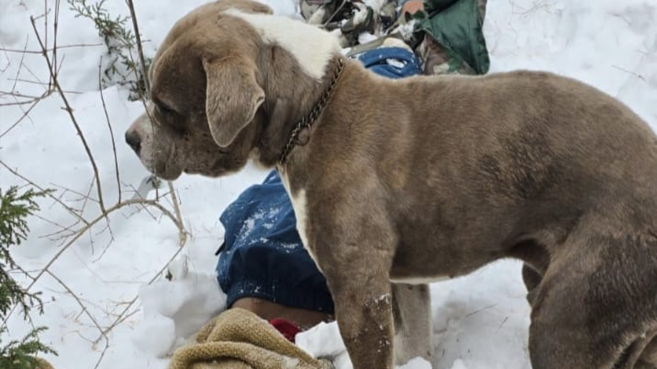 Trapped in snow while filming reels: Chamba teens’ final hours and a dog that stayed behind